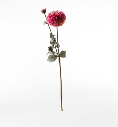 Kunstig lilla dahlia 49 cm Kunstig lilla dahlia 49 cm